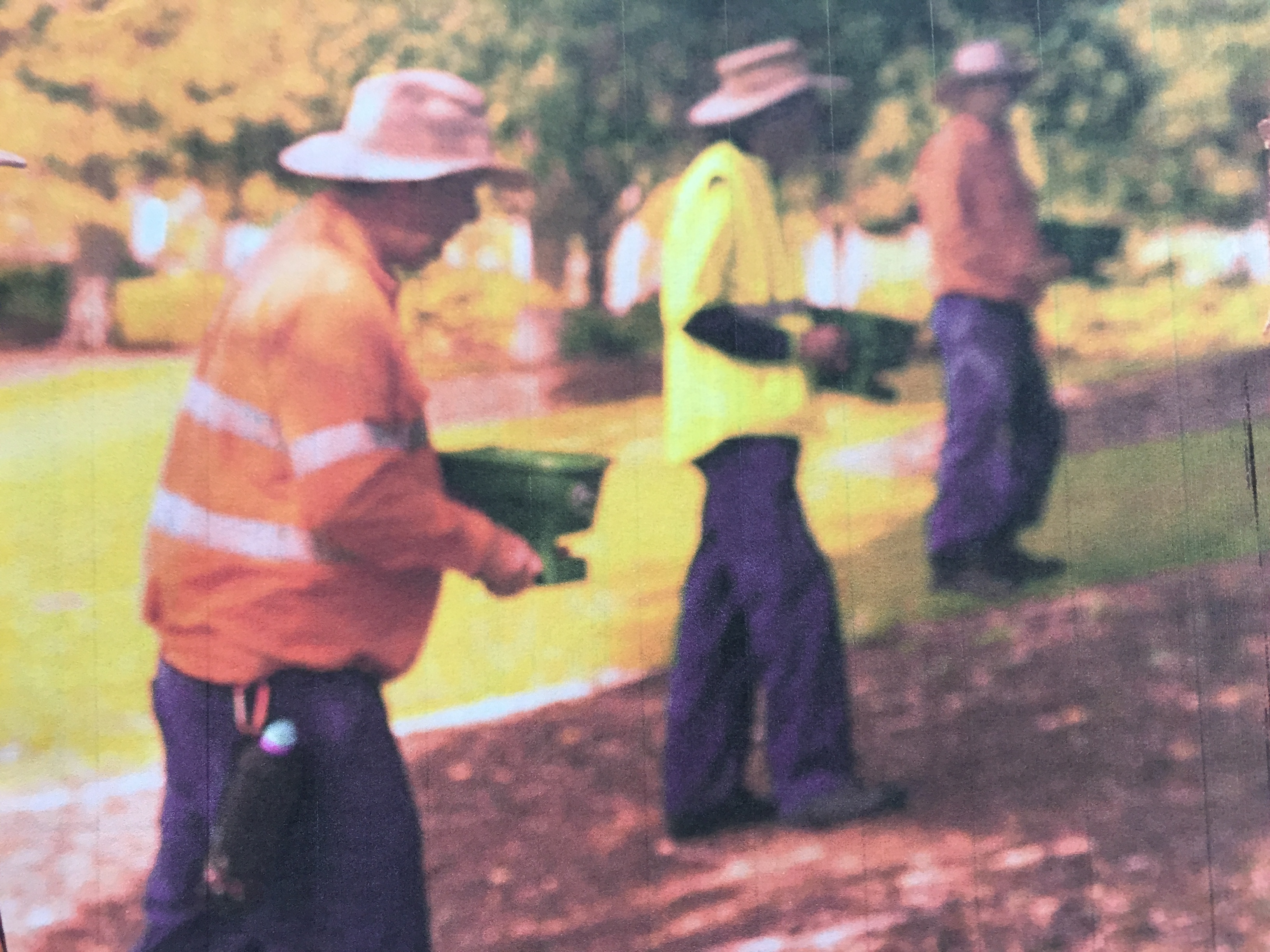 Biosecurity Queensland wasting bait and money spreading fire ant baits when ants are not actively foraging.